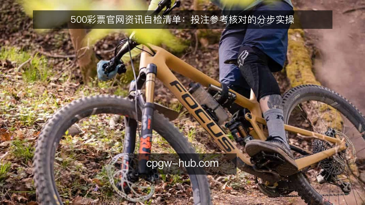 500彩票官网资讯自检清单：投注参考核对的分步实操